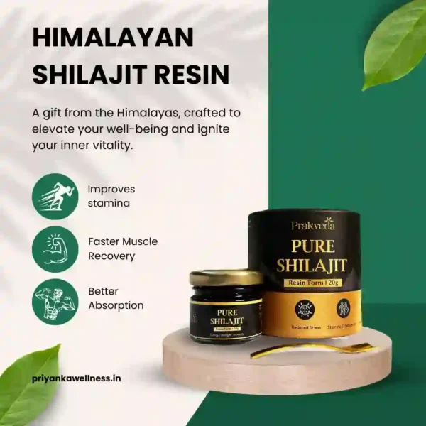 Himalayan Shilajit Resin - 40 Gram - Image 2